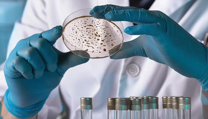 Microbiological analysis of environmental water and soil samples